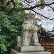 ヒメ日記 2025/12/12 09:53 投稿 ちほ 奥鉄オクテツ神奈川店（デリヘル市場グループ）