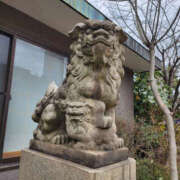 ヒメ日記 2026/01/29 10:03 投稿 ちほ 奥鉄オクテツ神奈川店（デリヘル市場グループ）