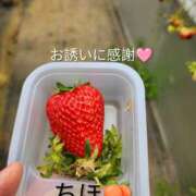 ちほ 御礼 奥鉄オクテツ神奈川店（デリヘル市場グループ）