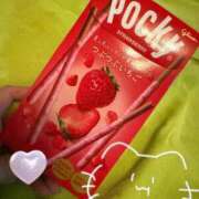 ヒメ日記 2025/11/12 11:26 投稿 ねこ ZERO-i