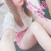 ヒメ日記 2025/11/13 10:16 投稿 ねこ ZERO-i