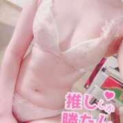 ヒメ日記 2025/11/17 16:46 投稿 ねこ ZERO-i