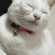 ヒメ日記 2025/11/22 01:56 投稿 ねこ ZERO-i