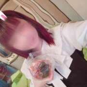 ヒメ日記 2025/11/23 13:32 投稿 ねこ ZERO-i