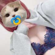 ねこ おはよう(*^o^*) ZERO-i