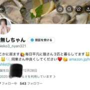 ねこ X✍️ ZERO-i