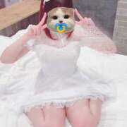 ヒメ日記 2025/12/09 11:36 投稿 ねこ ZERO-i