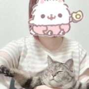 ヒメ日記 2025/12/15 03:16 投稿 ねこ ZERO-i