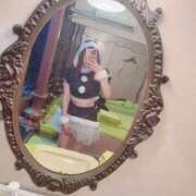 ヒメ日記 2025/12/17 11:06 投稿 ねこ ZERO-i