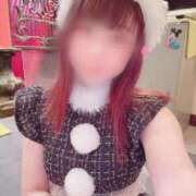 ヒメ日記 2025/12/19 12:16 投稿 ねこ ZERO-i