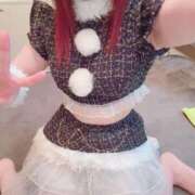 ヒメ日記 2025/12/20 17:26 投稿 ねこ ZERO-i