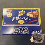 ヒメ日記 2025/12/24 13:06 投稿 ねこ ZERO-i