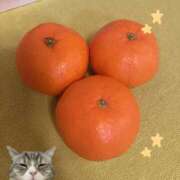 ヒメ日記 2025/12/24 15:48 投稿 ねこ ZERO-i