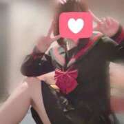 ヒメ日記 2025/12/27 15:56 投稿 ねこ ZERO-i