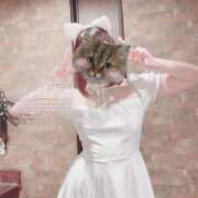 ヒメ日記 2025/12/30 15:09 投稿 ねこ ZERO-i