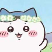 ヒメ日記 2026/01/01 03:36 投稿 ねこ ZERO-i