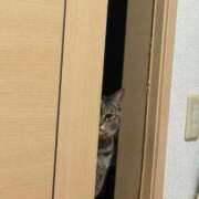 ヒメ日記 2026/01/04 09:26 投稿 ねこ ZERO-i