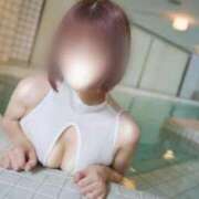 ヒメ日記 2026/01/12 15:44 投稿 ねこ ZERO-i