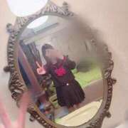 ヒメ日記 2026/02/12 11:26 投稿 ねこ ZERO-i