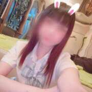 ヒメ日記 2026/02/21 14:12 投稿 ねこ ZERO-i