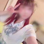 ヒメ日記 2026/03/11 12:06 投稿 ねこ ZERO-i