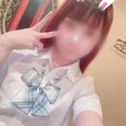 ヒメ日記 2026/03/17 10:36 投稿 ねこ ZERO-i