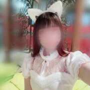 ヒメ日記 2026/03/27 15:46 投稿 ねこ ZERO-i