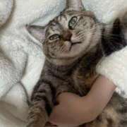 ヒメ日記 2026/03/30 15:06 投稿 ねこ ZERO-i