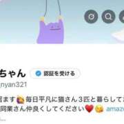 ヒメ日記 2026/03/31 23:16 投稿 ねこ ZERO-i