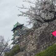 ヒメ日記 2026/04/04 15:06 投稿 ねこ ZERO-i