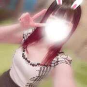 ヒメ日記 2026/04/07 15:26 投稿 ねこ ZERO-i