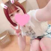 ねこ シフト ZERO-i