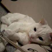 ヒメ日記 2026/04/12 02:36 投稿 ねこ ZERO-i