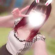 ヒメ日記 2026/04/14 20:46 投稿 ねこ ZERO-i