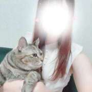 ヒメ日記 2026/09/04 21:26 投稿 ねこ ZERO-i