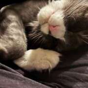 ヒメ日記 2025/10/26 14:18 投稿 るか 水戸女学院PTA