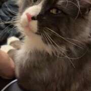 ヒメ日記 2025/12/05 10:17 投稿 るか 水戸女学院PTA