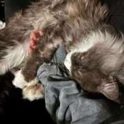 ヒメ日記 2026/01/29 18:41 投稿 るか 水戸女学院PTA