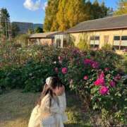 ヒメ日記 2025/12/16 00:39 投稿 想愛【ソア】 ピンクコレクション大阪キタ店