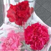 ヒメ日記 2026/01/14 01:07 投稿 想愛【ソア】 ピンクコレクション大阪キタ店