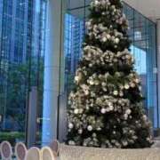 ヒメ日記 2025/12/08 10:12 投稿 想愛【ソア】 ピンクコレクション尼崎店