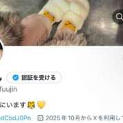 ヒメ日記 2025/11/19 13:11 投稿 あのん 風神会館新宿店