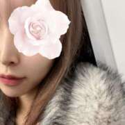 ヒメ日記 2025/11/27 00:00 投稿 あのん 風神会館新宿店