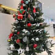 ヒメ日記 2025/11/18 12:28 投稿 れい【顔可愛すぎるでしょ！！】 ソープランド看護学院ディエックス