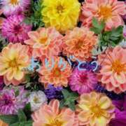 ヒメ日記 2026/02/01 18:14 投稿 北沢あかね 五十路マダム富山店(カサブランカグループ)