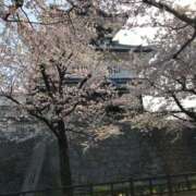 北沢あかね 散る 五十路マダム富山店(カサブランカグループ)