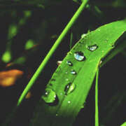 ヒメ日記 2025/12/21 08:48 投稿 吉永留美 五十路マダムエクスプレス横浜店（カサブランカグループ）