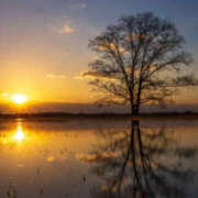 ヒメ日記 2025/12/22 06:54 投稿 吉永留美 五十路マダムエクスプレス横浜店（カサブランカグループ）