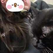 ヒメ日記 2025/11/01 12:01 投稿 こるね イキなり生彼女from大宮