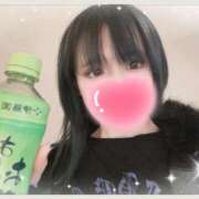 ヒメ日記 2025/10/26 21:26 投稿 はまち ノース -North-